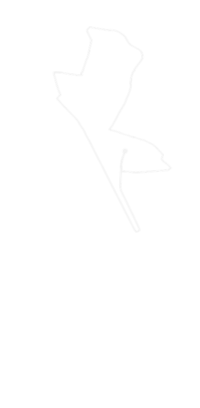 Recorrido de la carrera